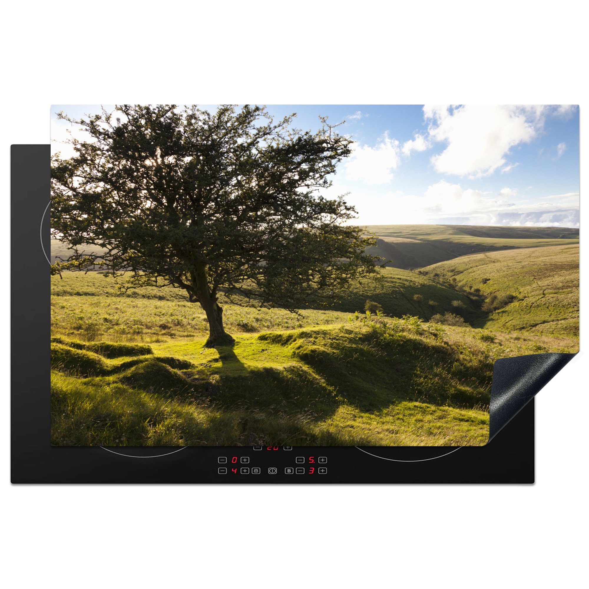 Induktionskochfeld Weißdornbaum Ceranfeldabdeckung (1 in Vinyl, küche, Herdblende-/Abdeckplatte im für MuchoWow England, Park Exmoor 81x52 Schutz cm, Einsamer National tlg), die