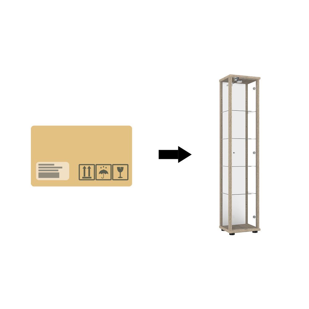 cm) Glasschrank Sammlervitrine, VR-Wohnideen mit (Glasvitrine höhenverstellbaren Standvitrine Sammler, stehend, Spiegel, Glasvitrine 4 (176x37x33 mit 1 Sonoma C1083 für Glaseinlegeböden, Eiche Schloss, perfekt LED, Glastür)