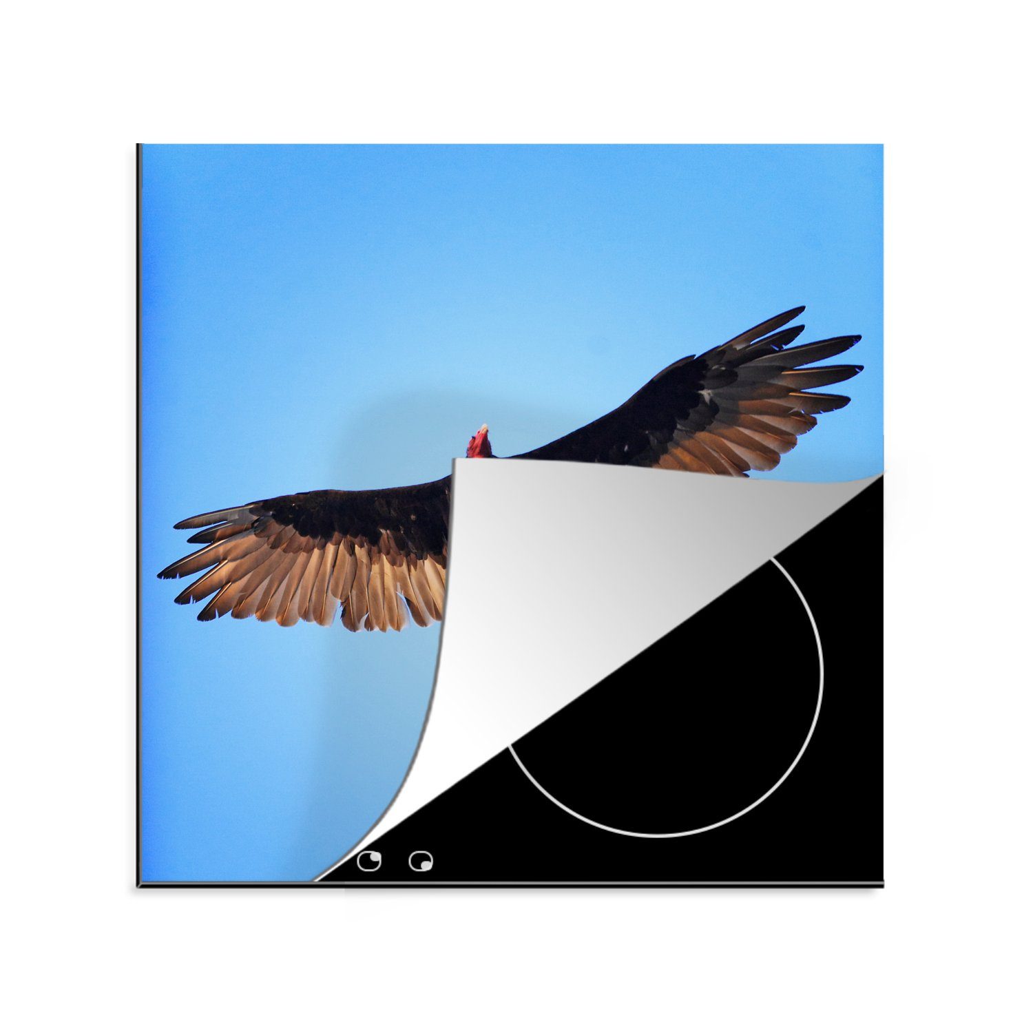 MuchoWow Herdblende-/Abdeckplatte Ein Truthahngeier fliegt in einem blauen Himmel, Vinyl, (1 tlg), 78x78 cm, Ceranfeldabdeckung, Arbeitsplatte für küche