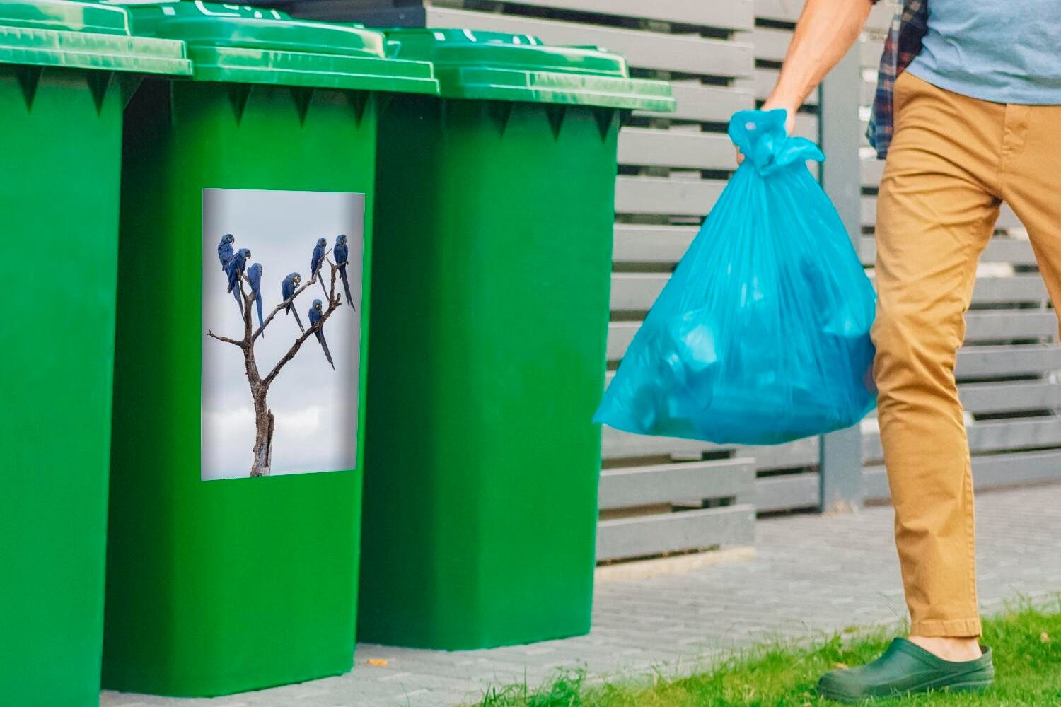MuchoWow Wandsticker Hyazintharas auf dem Mülltonne, Baum (1 Abfalbehälter Container, St), Mülleimer-aufkleber, Sticker