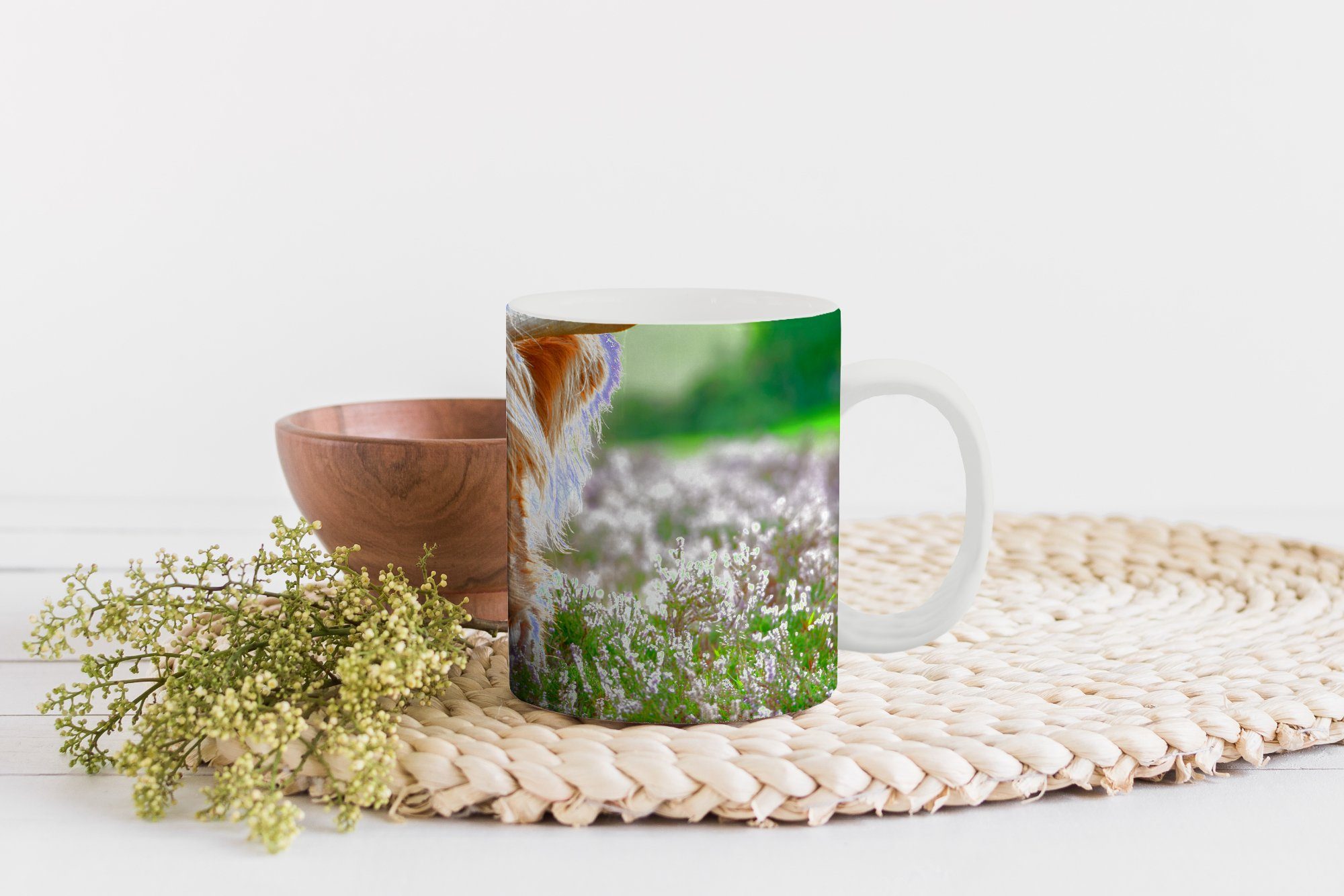 Schottische MuchoWow Tiere, Teetasse, - Gras Tasse - Geschenk Heidekraut Highlander Kaffeetassen, - Teetasse, Becher, Keramik,
