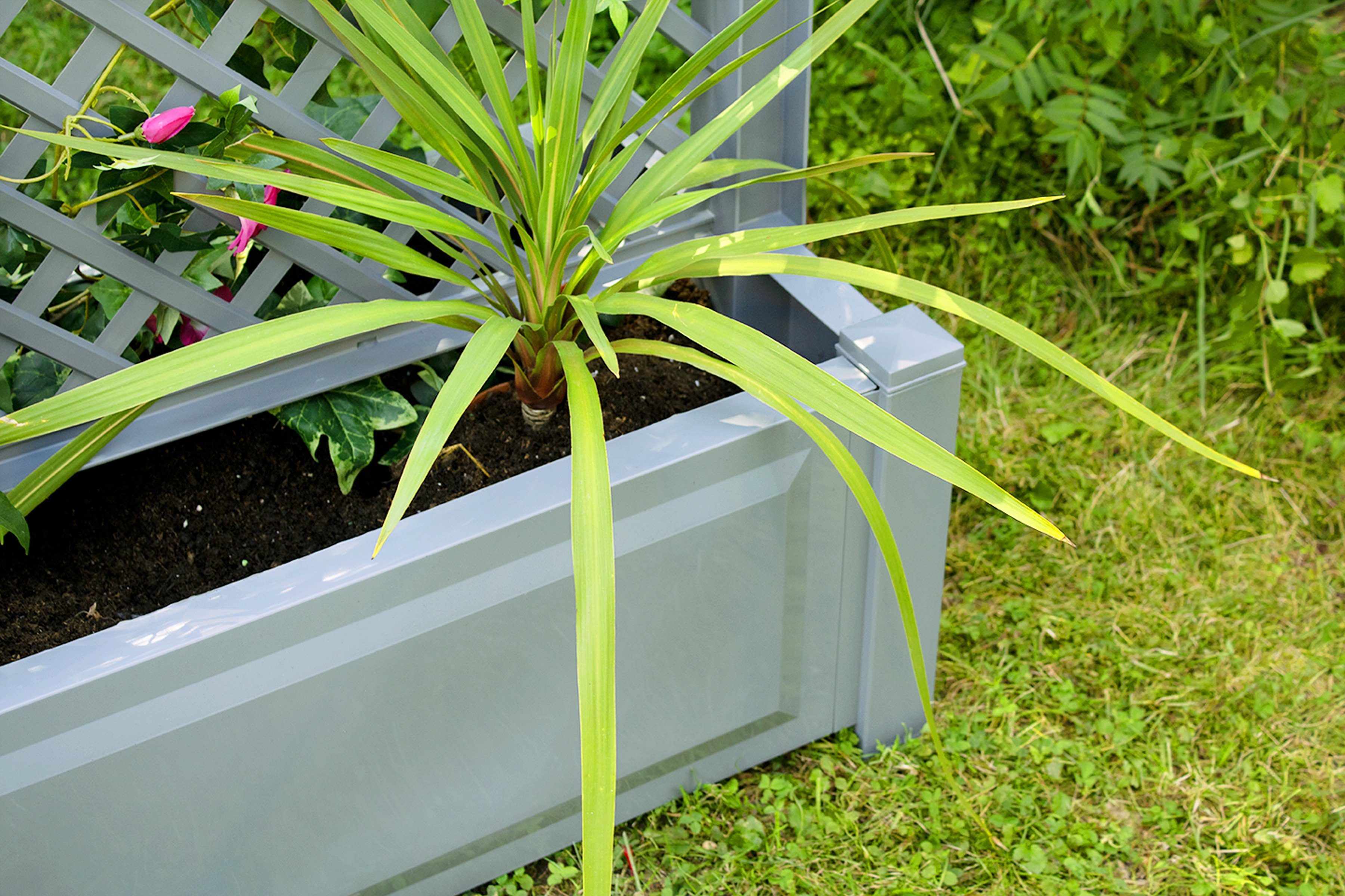 KHW Spalier, Pflanzkasten groß 100 cm mit Zentralspalier