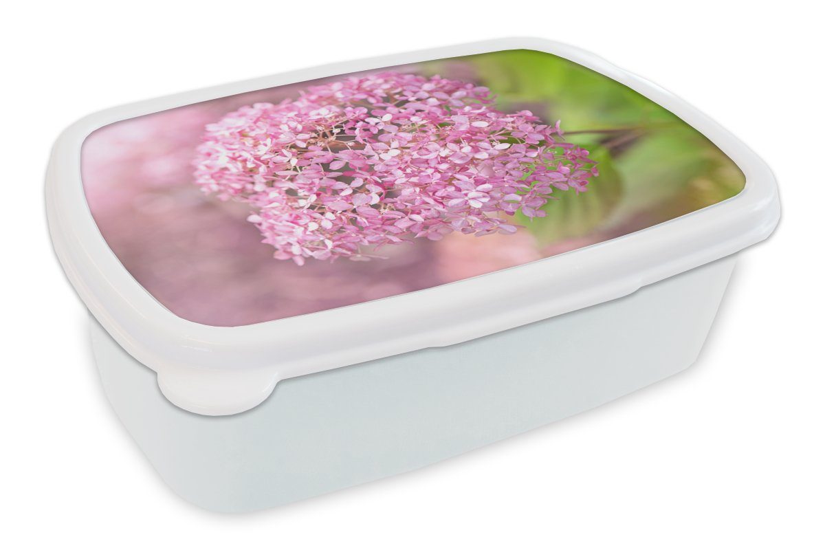 MuchoWow Lunchbox Nahaufnahme einer Hortensie, Kunststoff, (2-tlg), Brotbox für Kinder und Erwachsene, Brotdose, für Jungs und Mädchen weiß | Lunchboxen