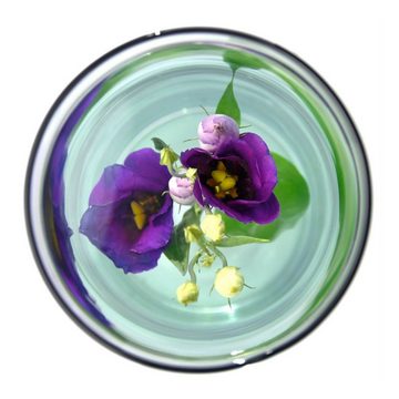 esschert design Kugelvase Versunkene Blumenvase 2.WAHL 30cm Glas mit Clip Pflanzen Deko (1 Vase)