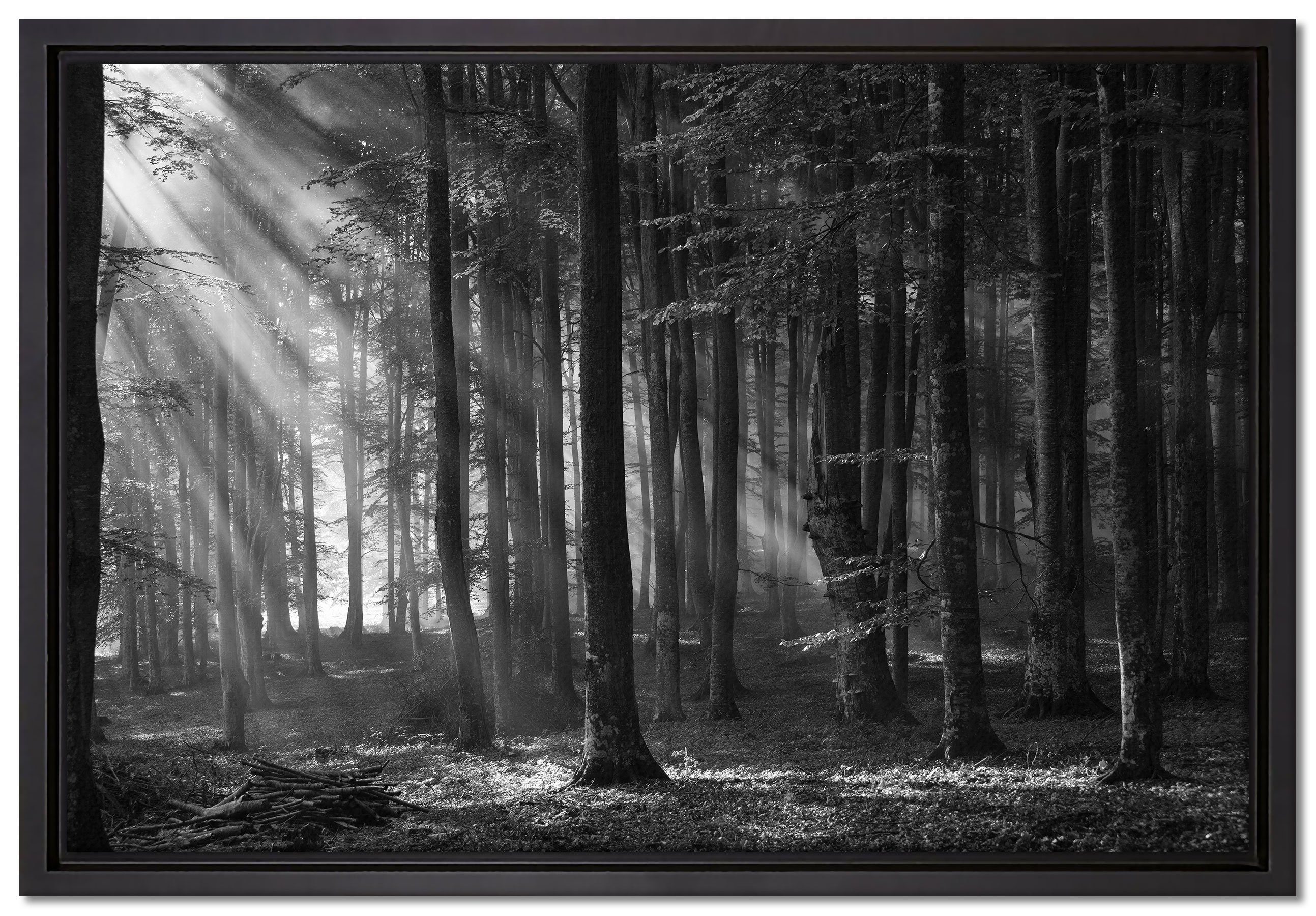 Pixxprint Leinwandbild Märchenwald, Wanddekoration (1 St), Leinwandbild fertig bespannt, in einem Schattenfugen-Bilderrahmen gefasst, inkl. Zackenaufhänger
