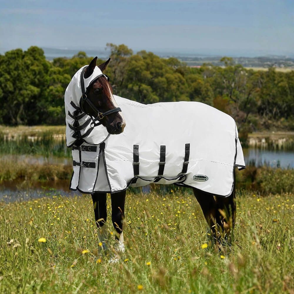 WeatherBeeta Ekzemerdecke Weatherbeeta Comfitec Sweet Itch Shield Fly Sheet Combo Ekzemerdecke