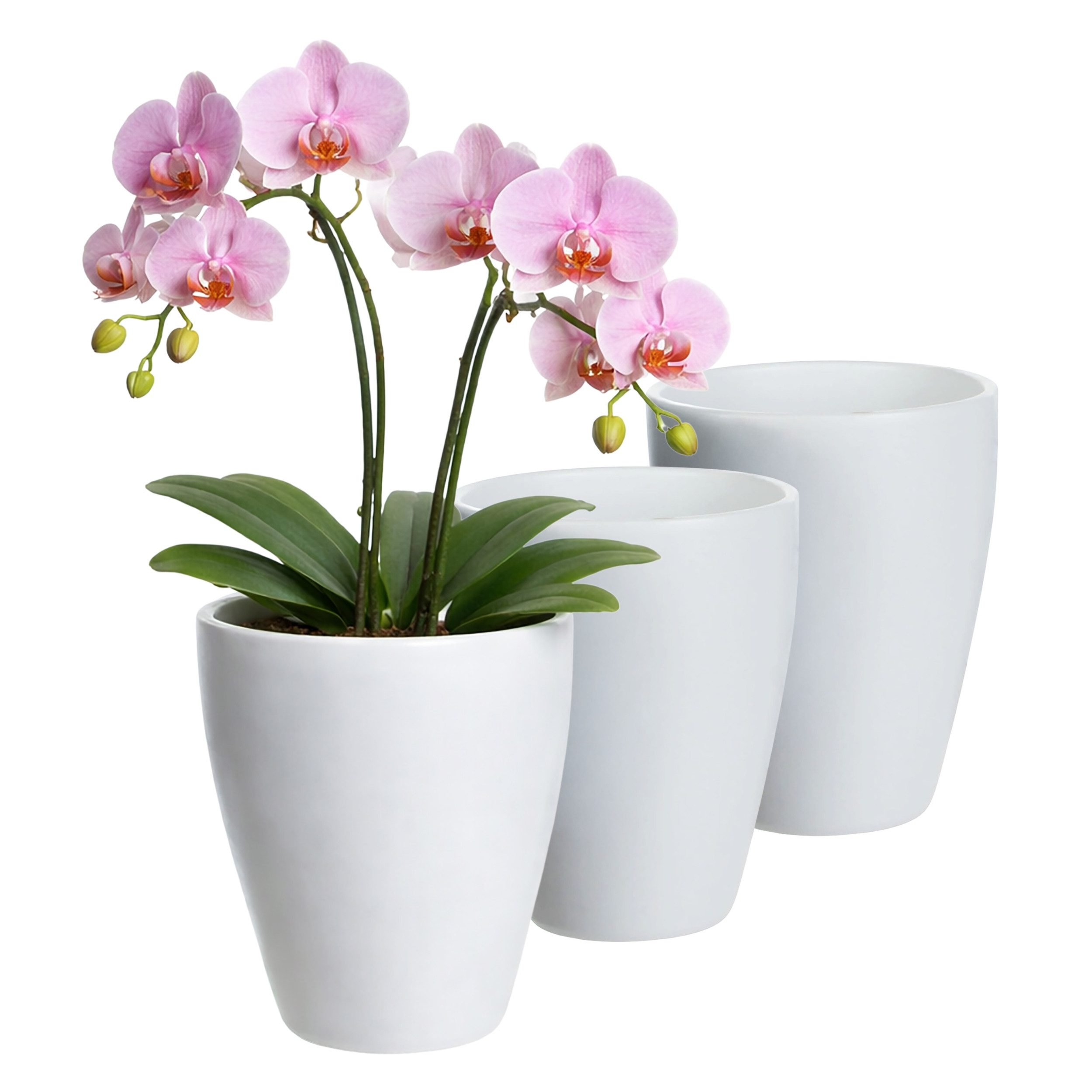 Annastore Übertopf 3 x Orchideentopf aus Keramik - Orchideenübertopf - Blumenübertopf, H 17 cm - Ø 13,5 cm