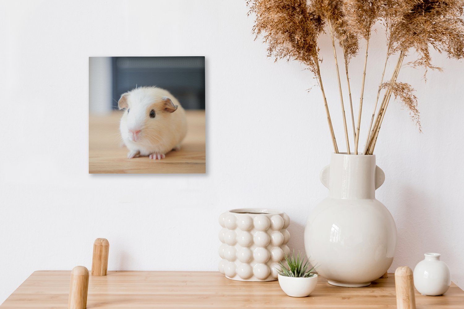 Baby-Meerschweinchen, OneMillionCanvasses® für Leinwandbild Leinwand St), Bilder Wohnzimmer (1 Schlafzimmer Niedliches