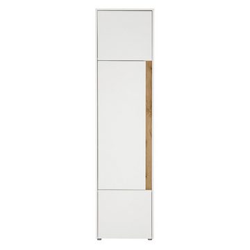 Lomadox Stauraumschrank CRISP-61 anthrazit mit Wotan Eiche, Tür beidseitig montierbar, ca. 50/200/40 cm