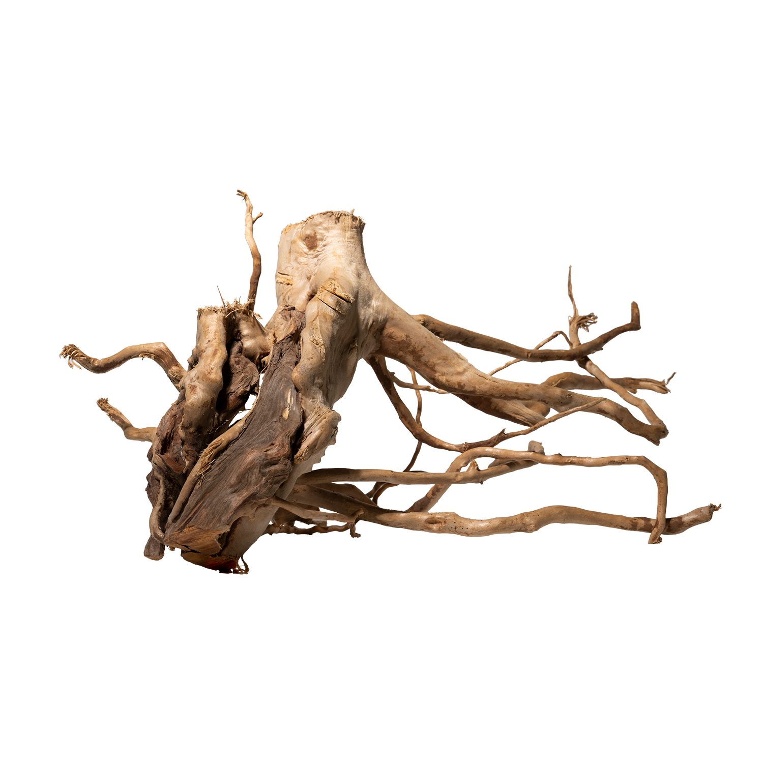 DENNERLE Аквариумыdeko Spiderwood, Natürliches Wurzelholz, Für Aquarium und Terrarium