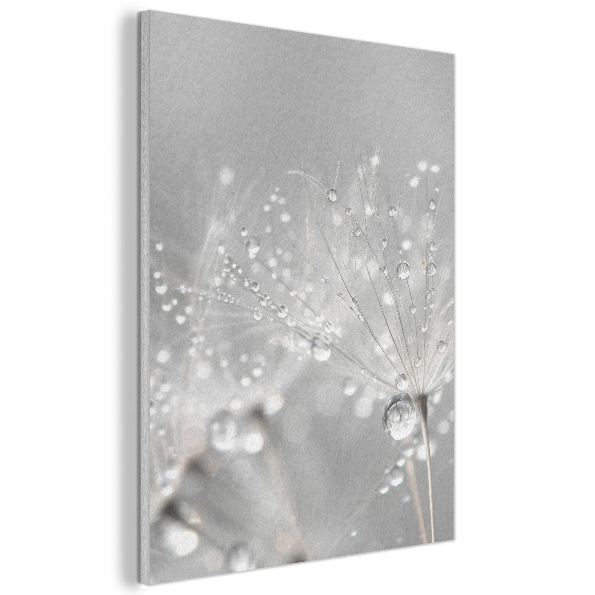 MuchoWow Gemälde Löwenzahn - Wassertropfen - Stilleben - Modern, Fotodruck (1 St), Akustikpaneele, Wandpaneele, Schalldämmung, Akustikbilder 30x40 cm