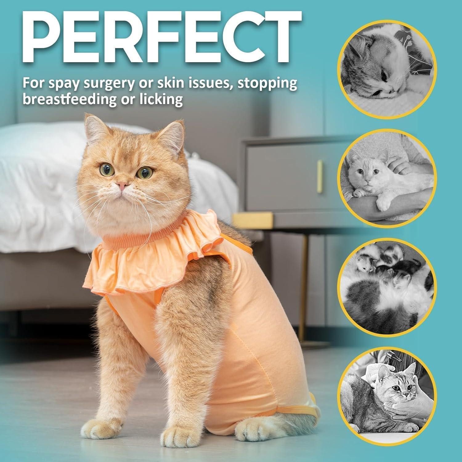 Avont Schutzkragen Katzenbody Erholungsanzug OP Kastration Hautkrankheiten Leckschutz