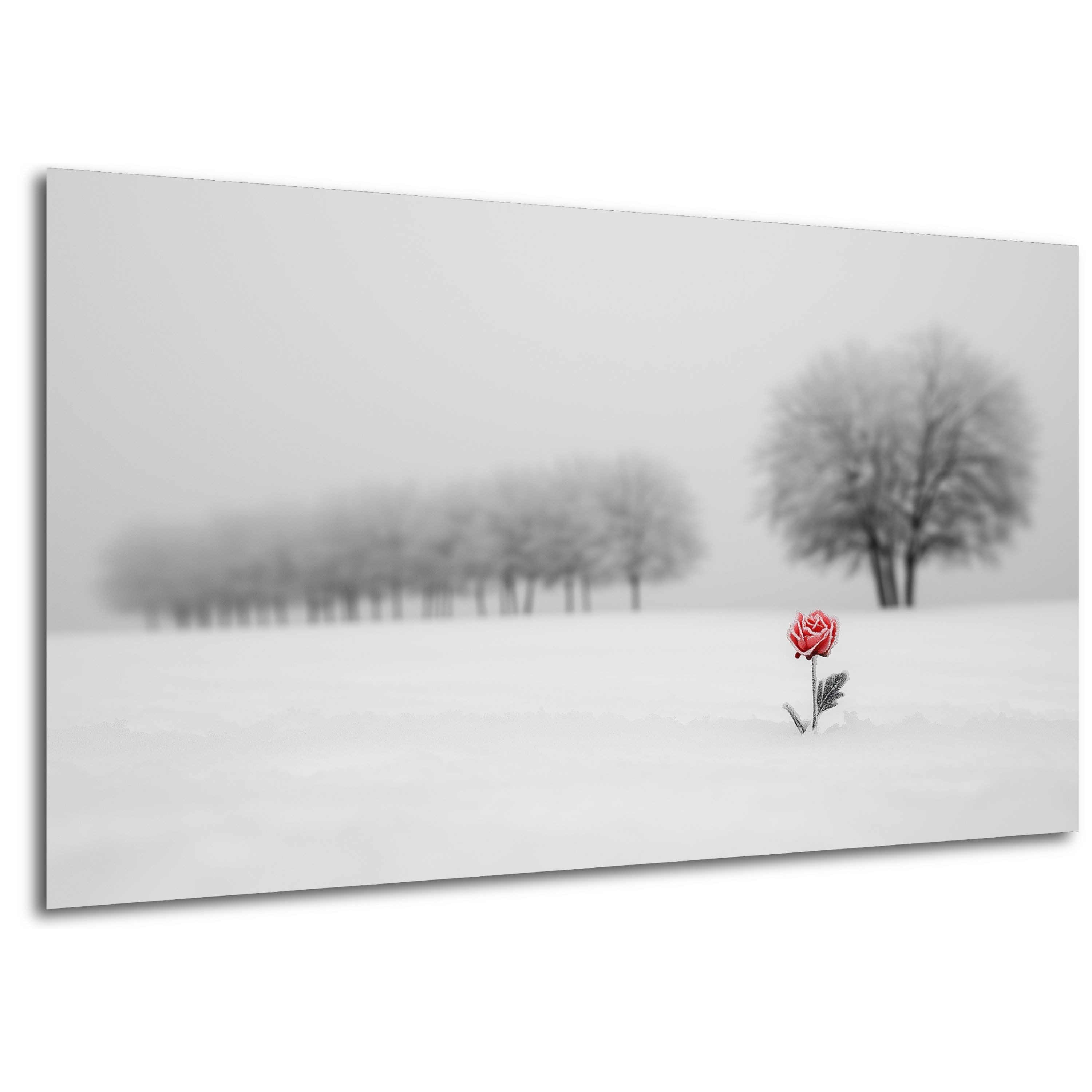 DARO Design Leinwandbild Modern Abstrakt Wandbilder günstig online kaufen