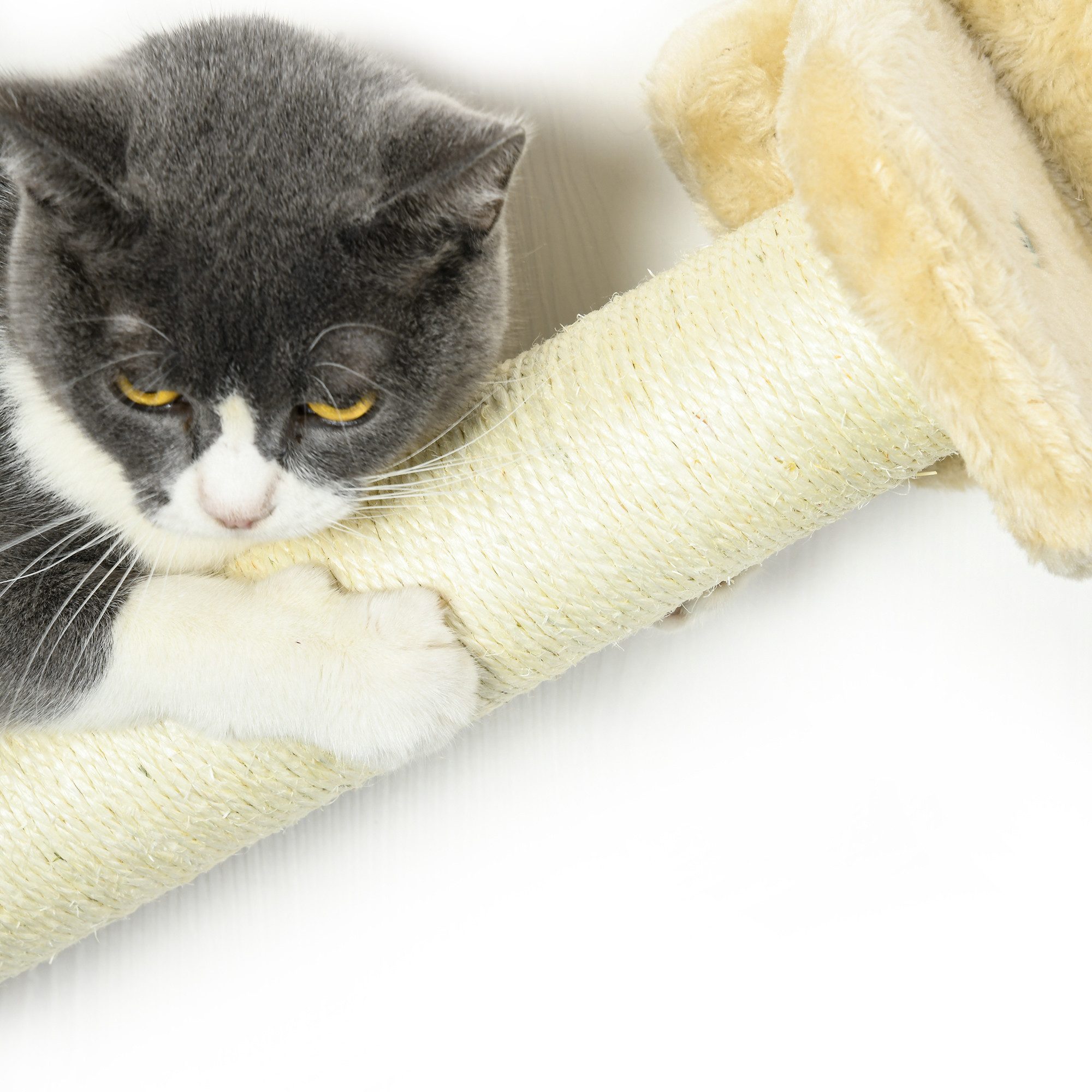 furnicato Katzen-Kletterwand Katzentreppe 5-teilig, 2 Kratzstämme, 2 Plattformen, Hänge