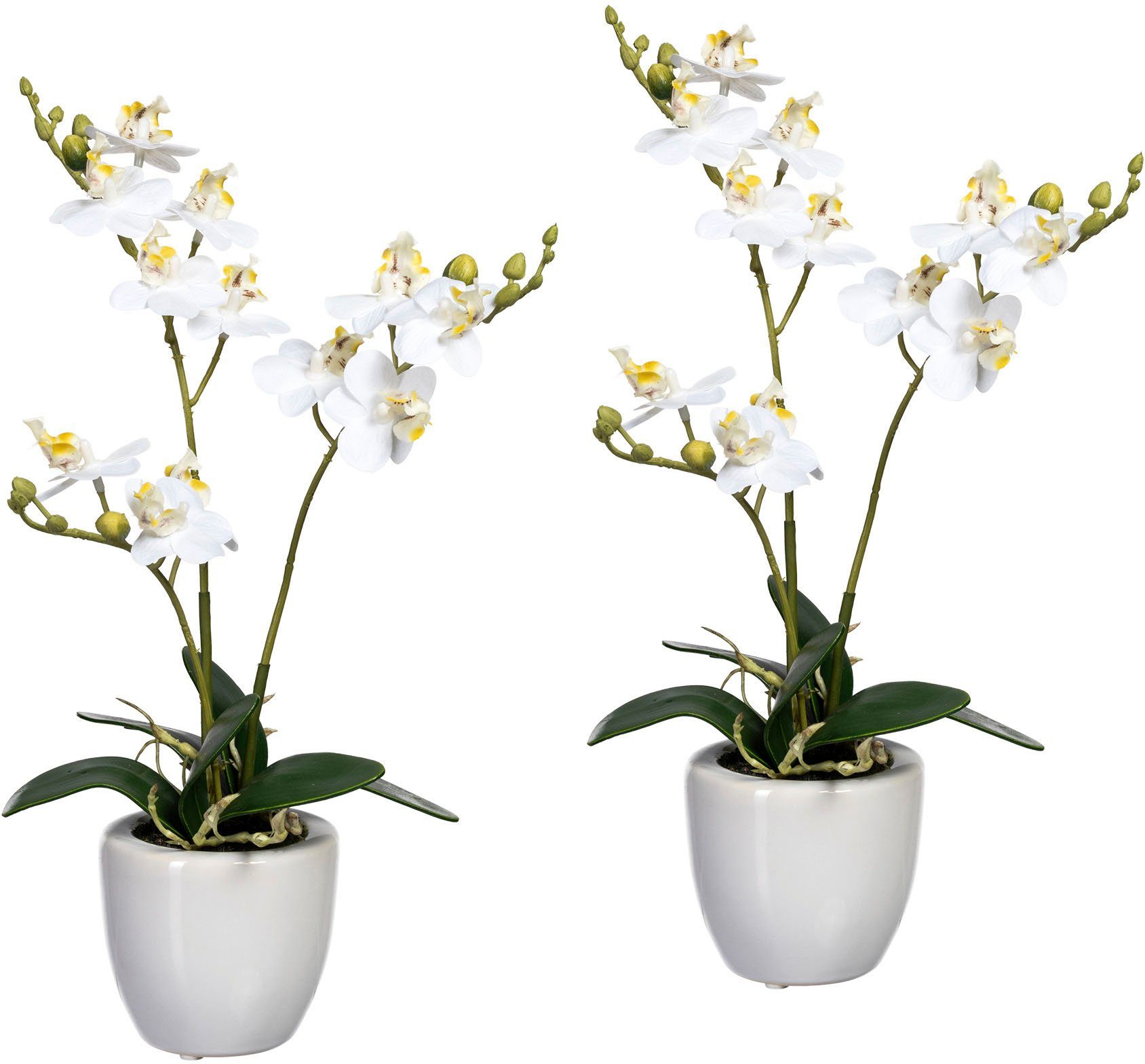 Kunstorchidee Phalaenopsis Orchidee Phalaenopsis, Creativ green, Höhe 35 cm,  im Keramiktopf, 2er Set