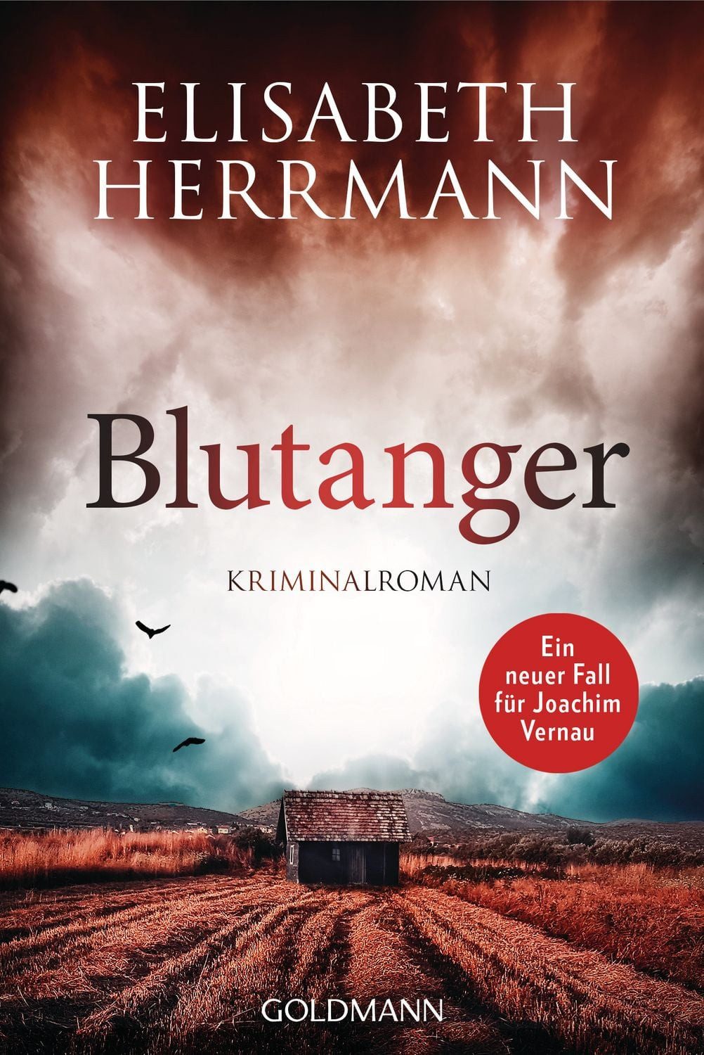 Belletristik Blutanger Kriminalroman Elisabeth Herrmann