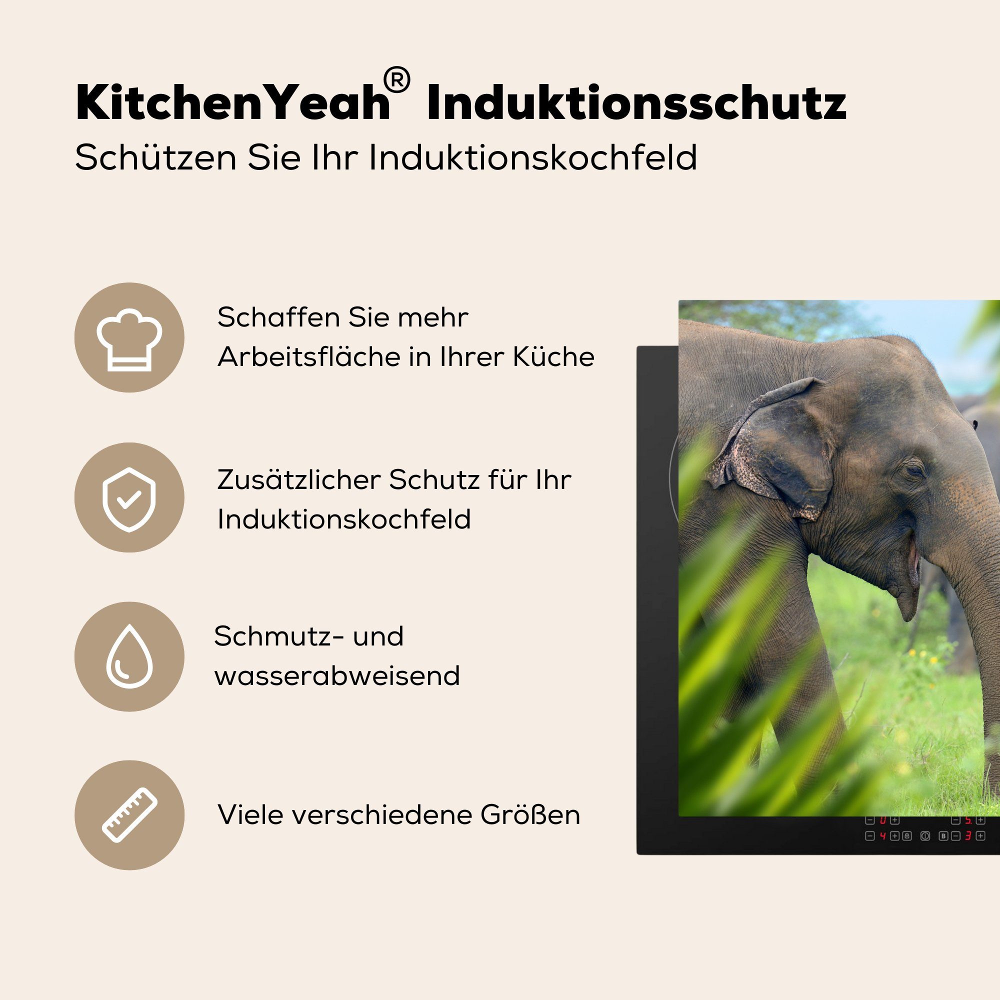 Arbeitsplatte küche - für 78x78 Ceranfeldabdeckung, - tlg), (1 cm, Elefant MuchoWow Tiere, Herdblende-/Abdeckplatte Vinyl, Palme