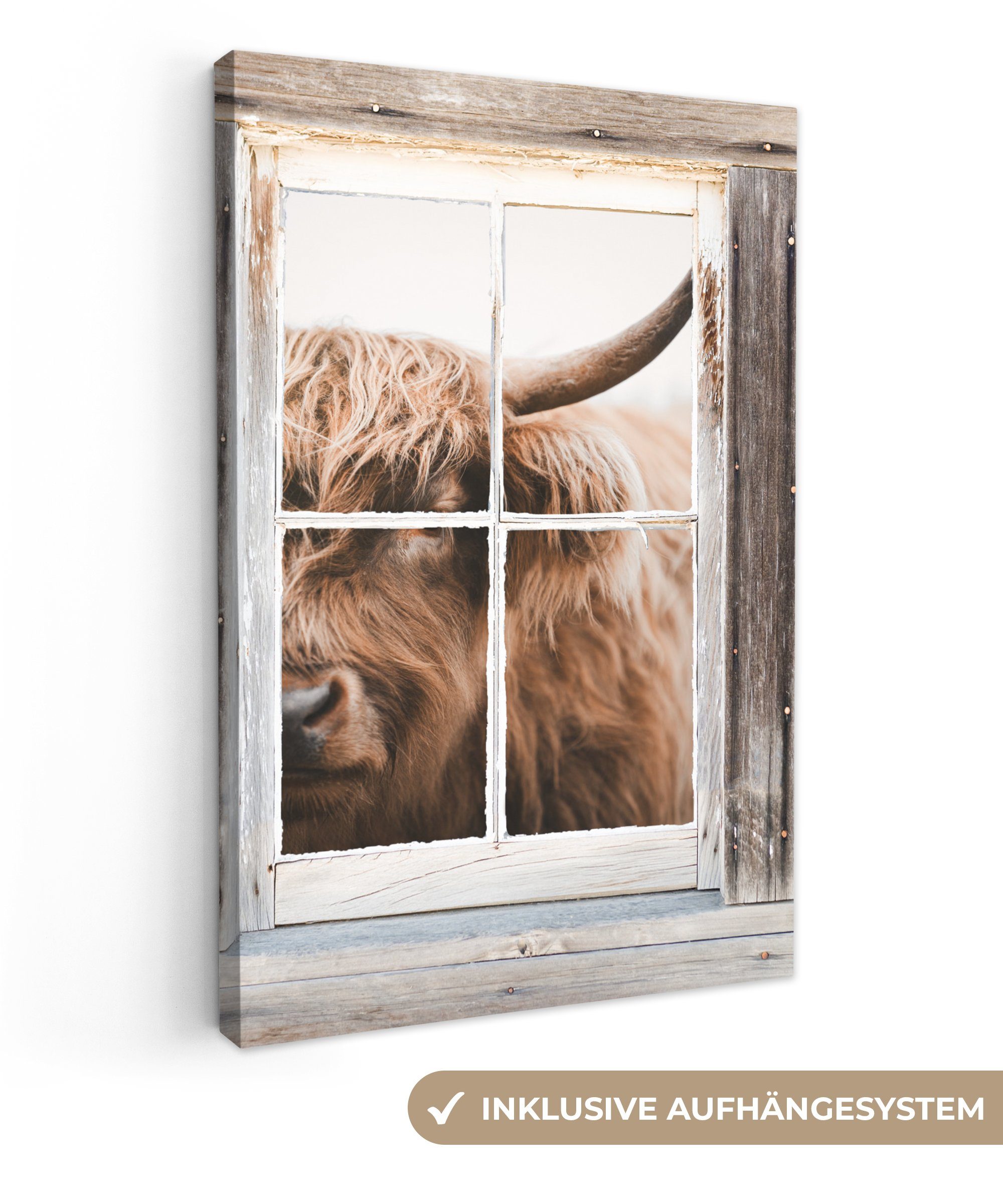 OneMillionCanvasses® Leinwandbild Schottischer Highlander - Ansicht - Fenster, (1 St), Leinwandbild fertig bespannt inkl. Zackenaufhänger, Gemälde, 20x30 cm