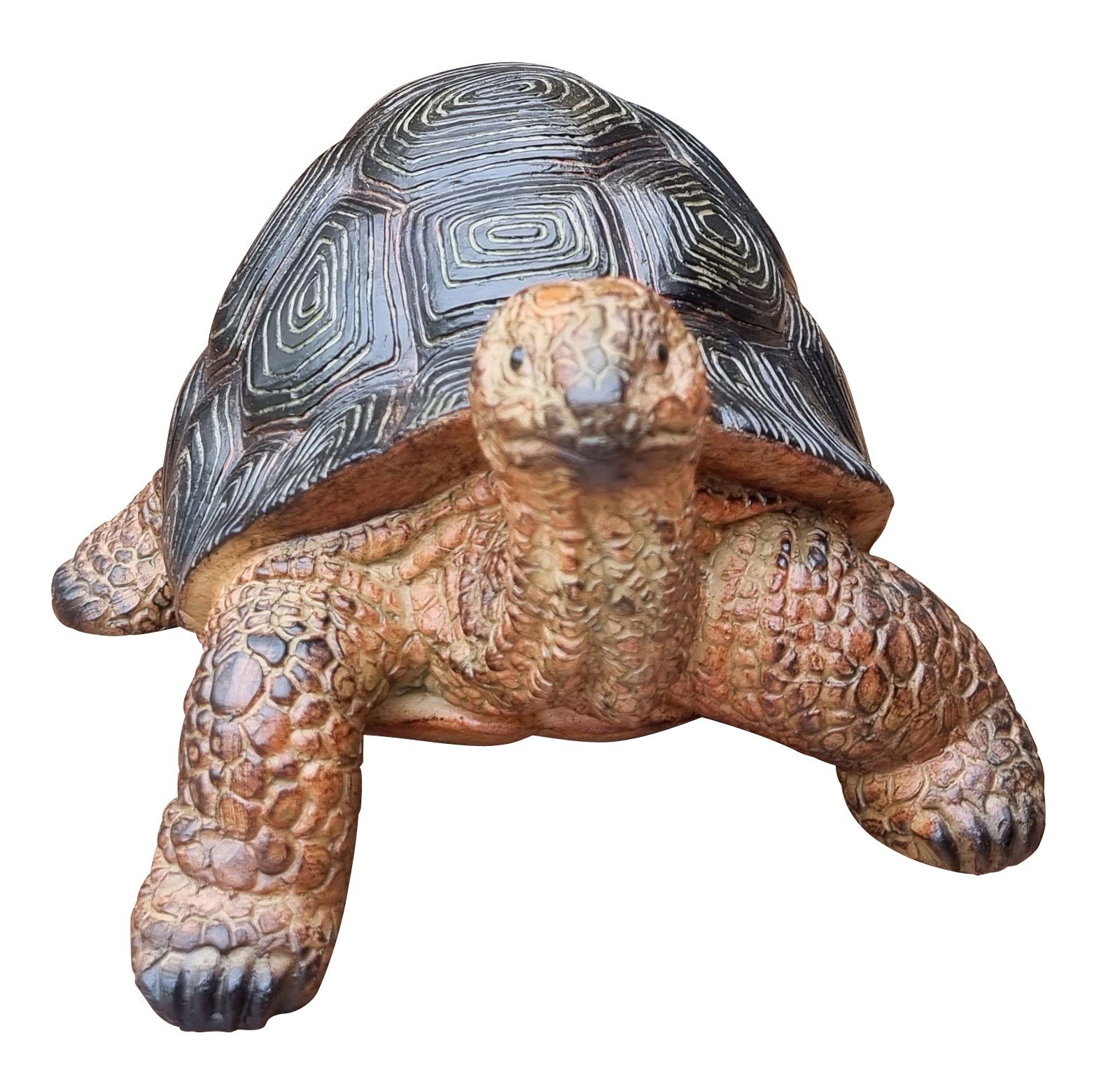 St), Frieda, Fachhandel lebensechte (1 Plus Garten-Deko-Figur Gartenfigur Schildkröte