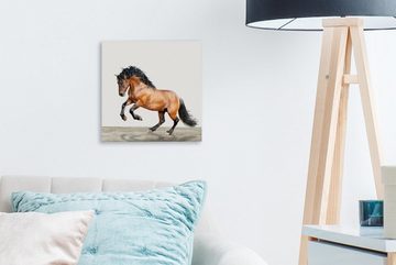 OneMillionCanvasses® Leinwandbild Pferd - Tiere - Weiß - Jungen - Mädchen - Kinder, (1 St), Leinwand Bilder für Wohnzimmer Schlafzimmer