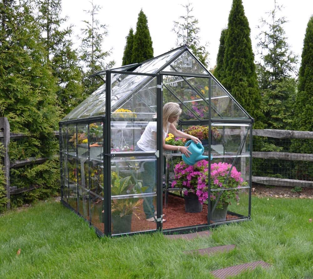 Palram - Canopia Gewächshaus, x 208  | ...