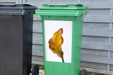 MuchoWow Wandsticker Gelb-orangefarbene Calla-Blume auf weißem Hintergrund (1 St), Mülleimer-aufkleber, Mülltonne, Sticker, Container, Abfalbehälter