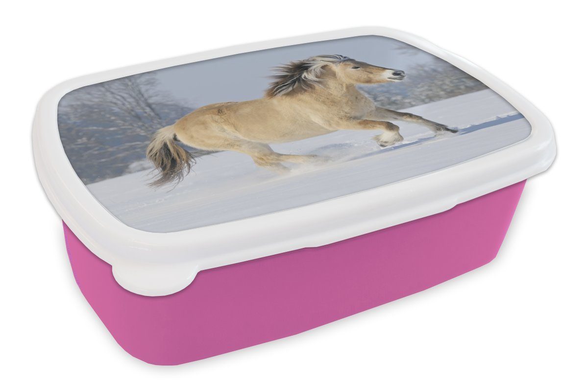 MuchoWow Lunchbox Fjordpferd den rosa läuft Snackbox, Brotdose (2-tlg), Erwachsene, Mädchen, Brotbox Schnee, für durch Kunststoff Kinder, Kunststoff