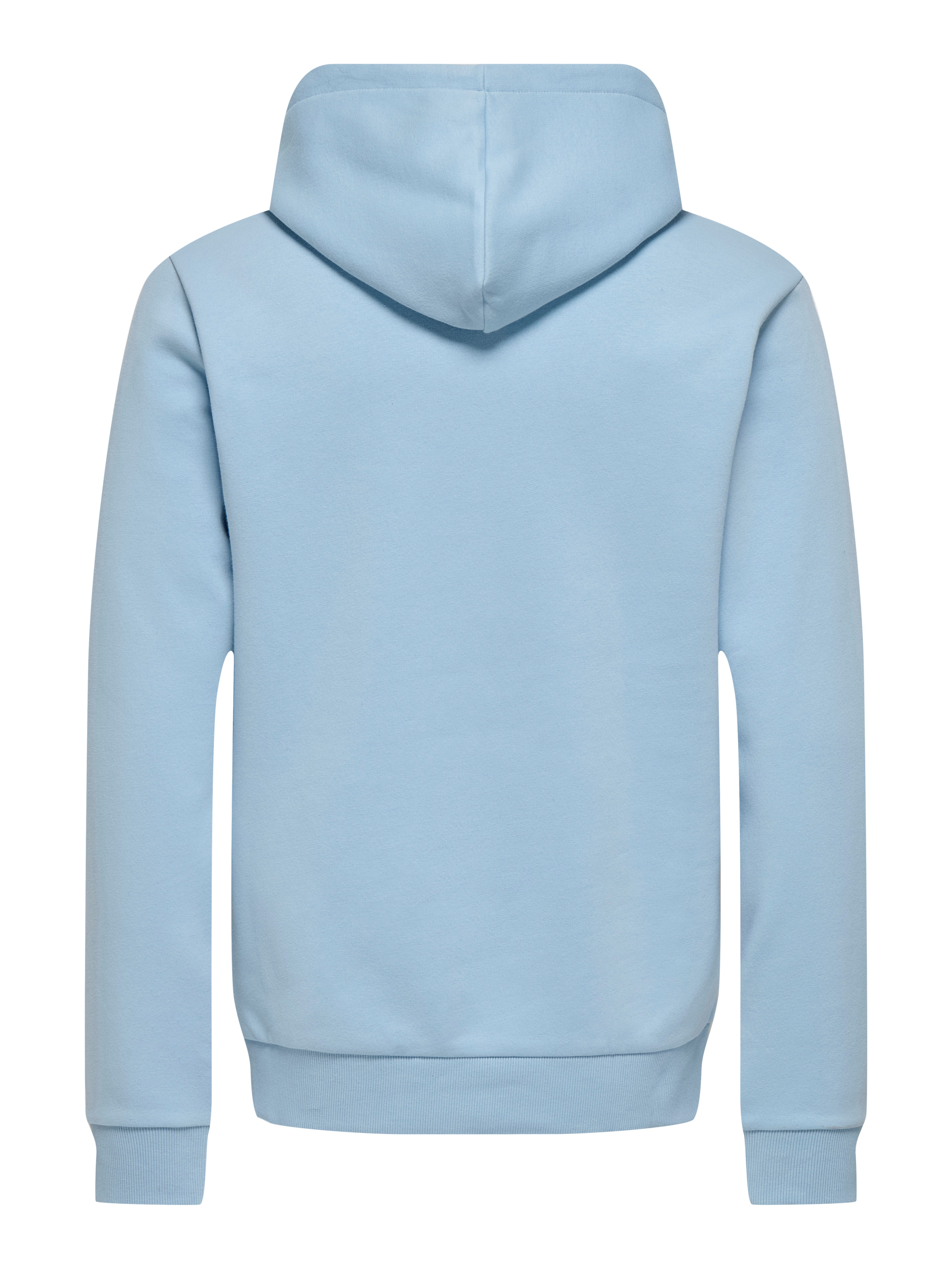 ONLY & SONS Kapuzensweatshirt ONSCERES HOODIE SWEAT NOOS Baumwollmischung, regular fit