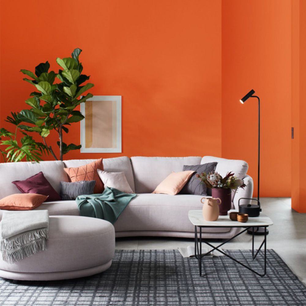 SCHÖNER WOHNEN FARBE Wandfarbe SW Trend Wandfarbe matt 1,0L aperitivo 2627