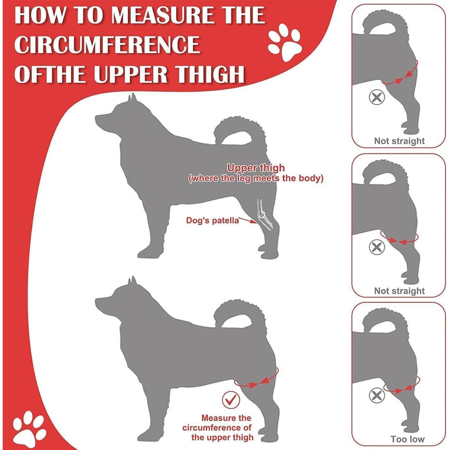 DKDDSSS Kniebandage Kniebandage Hund Hinterbein Kreuzbandriss Unterstützung Recovery