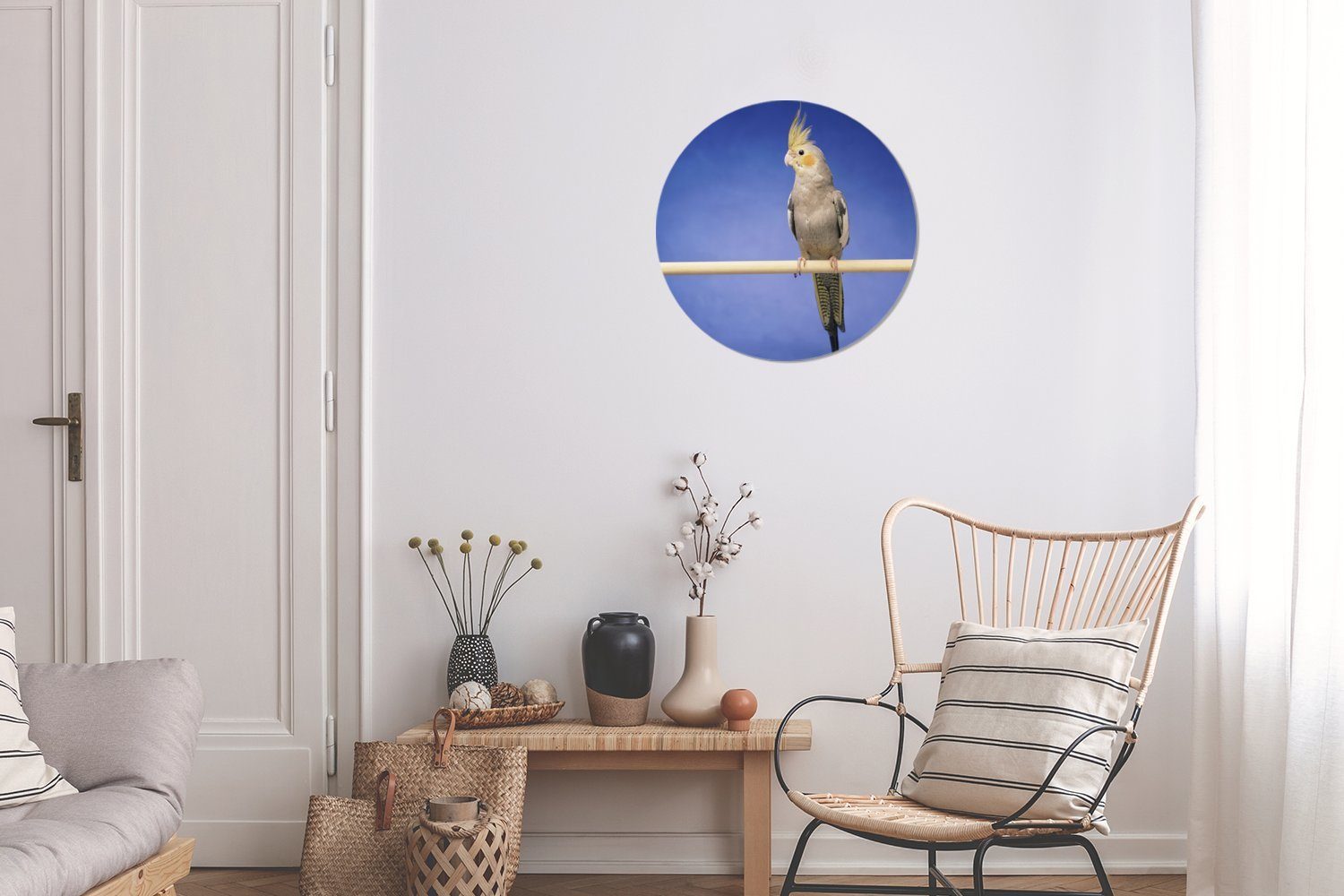 cm Forex, Wandbild, Falken-Sittich Gemälde Rundes Kreis St), 30x30 einem auf Wohnzimmer, Wanddekoration Stock, MuchoWow (1