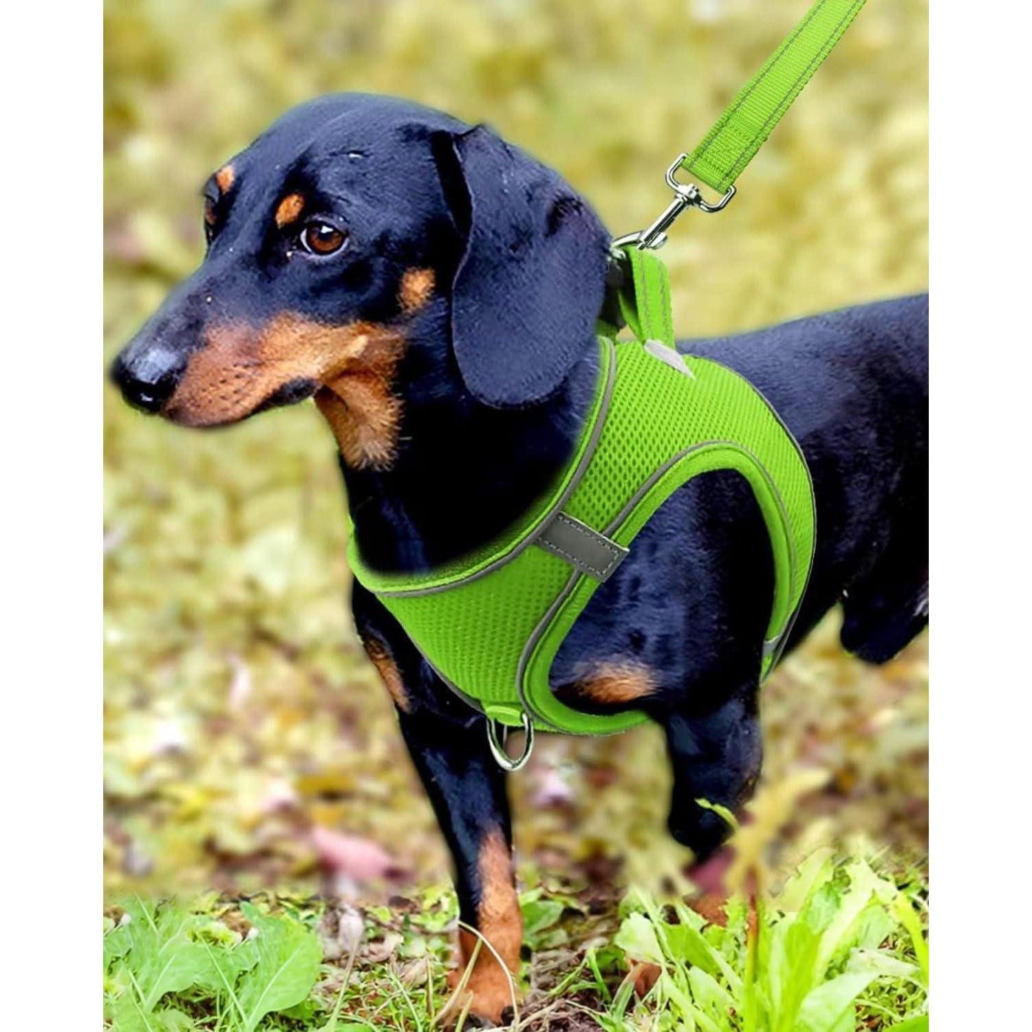LuxusKollektion Hunde-Geschirr Hundegeschirr Brustgeschirr Reflektierend Air M-Brust:42-47cm Grün