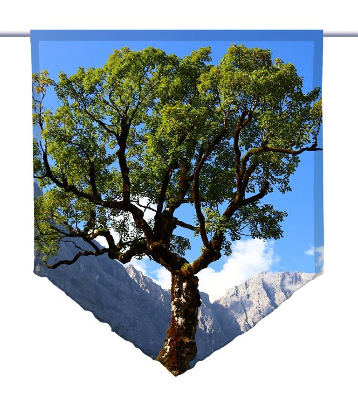 Scheibengardine Scheibenhänger Der Baum – spitze Gardine, gardinen-for-life