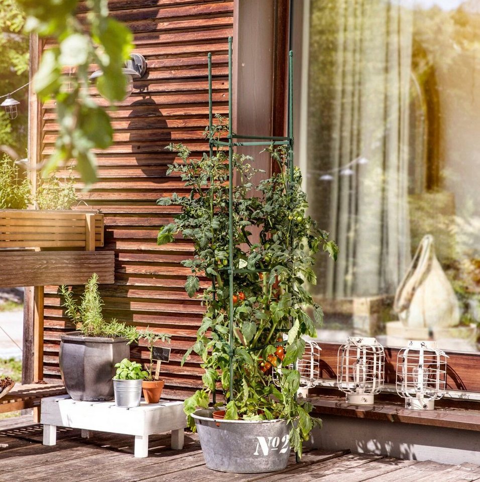 Windhager Ranksäule, Tomaten-Rankturm aus rostfreien Stahlrohren, H: 150 cm