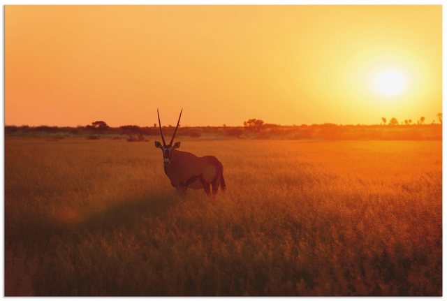 Artland Wandbild »Oryxantilope im Sonnenaufgang«, Wildtiere (1 Stück), in vielen Größen & Produktarten - Alubild / Outdoorbild für den Außenbereich, Leinwandbild, Poster, Wandaufkleber / Wandtattoo auch für Badezimmer geeignet-Otto