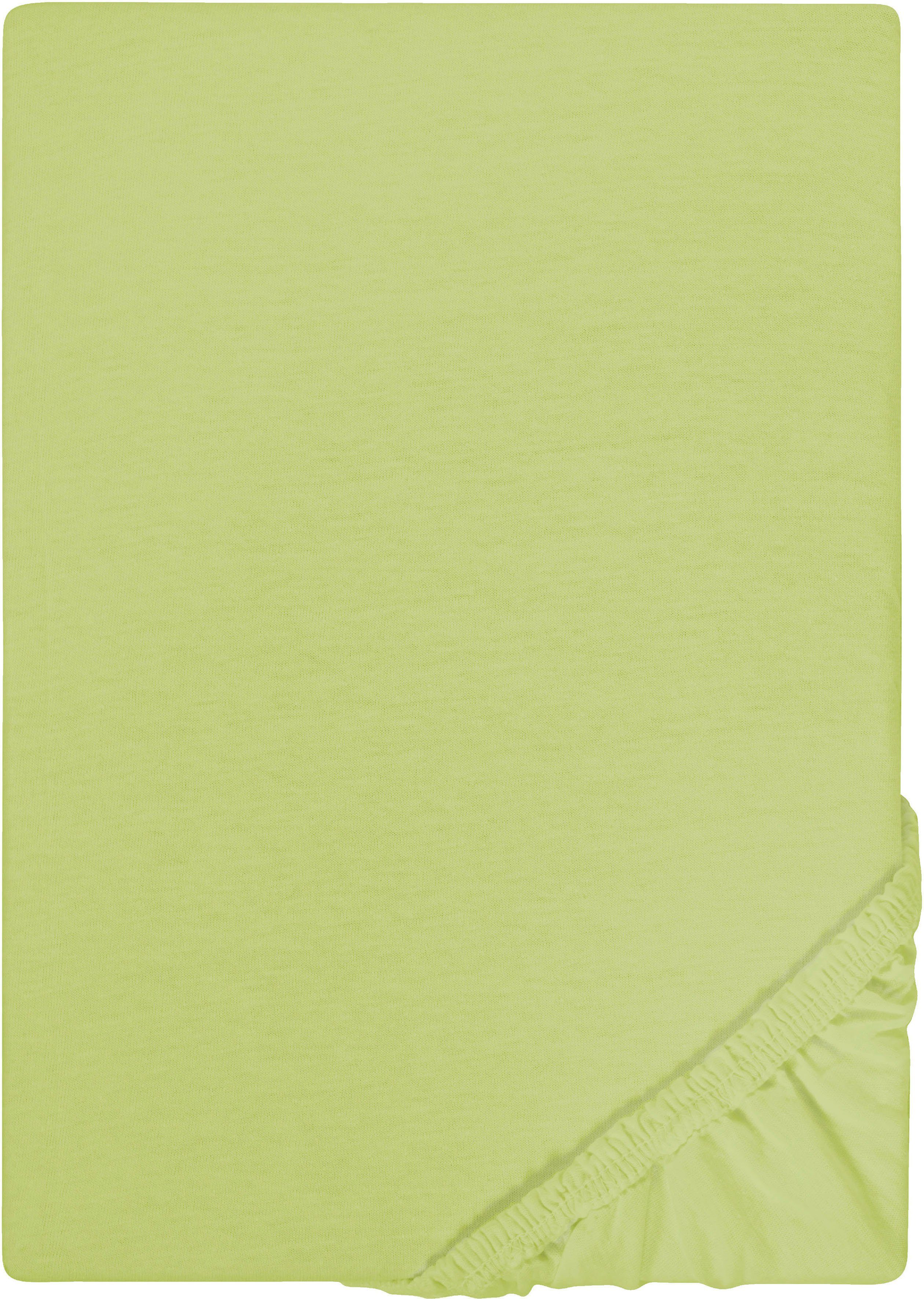 Castell - Markenbettwäsche Spannbettlaken Jersey in günstig online kaufen