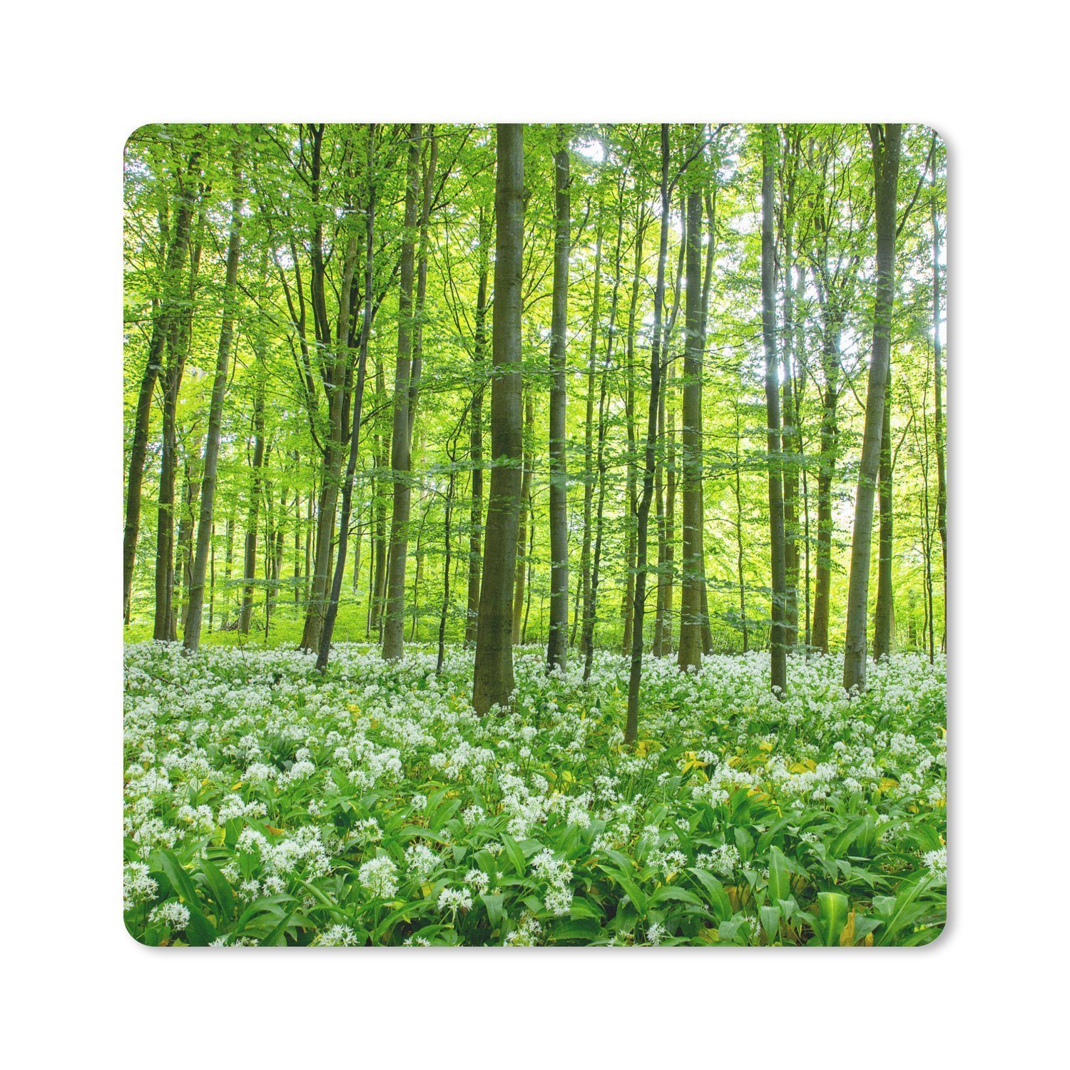 MuchoWow Mauspad Wald - Bäume - Grün (1-St), Mousepad, Schreibtisch Zubehör, Deko, 20x20 cm