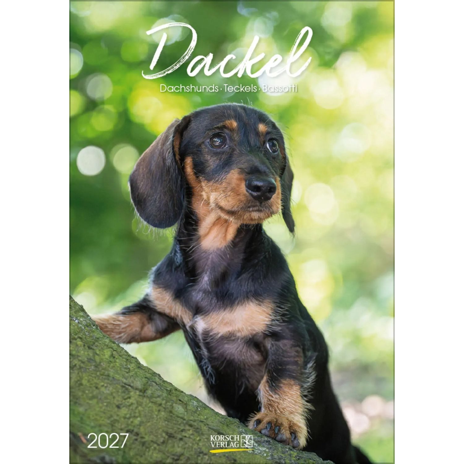 Korsch Verlag Wandkalender Dackel 2027