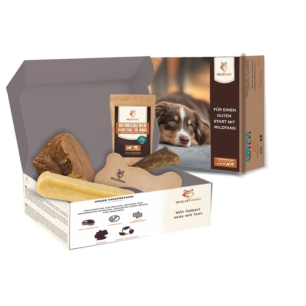 Wildfang Kauspielzeug Paket Lieblingsstücke für Hunde
