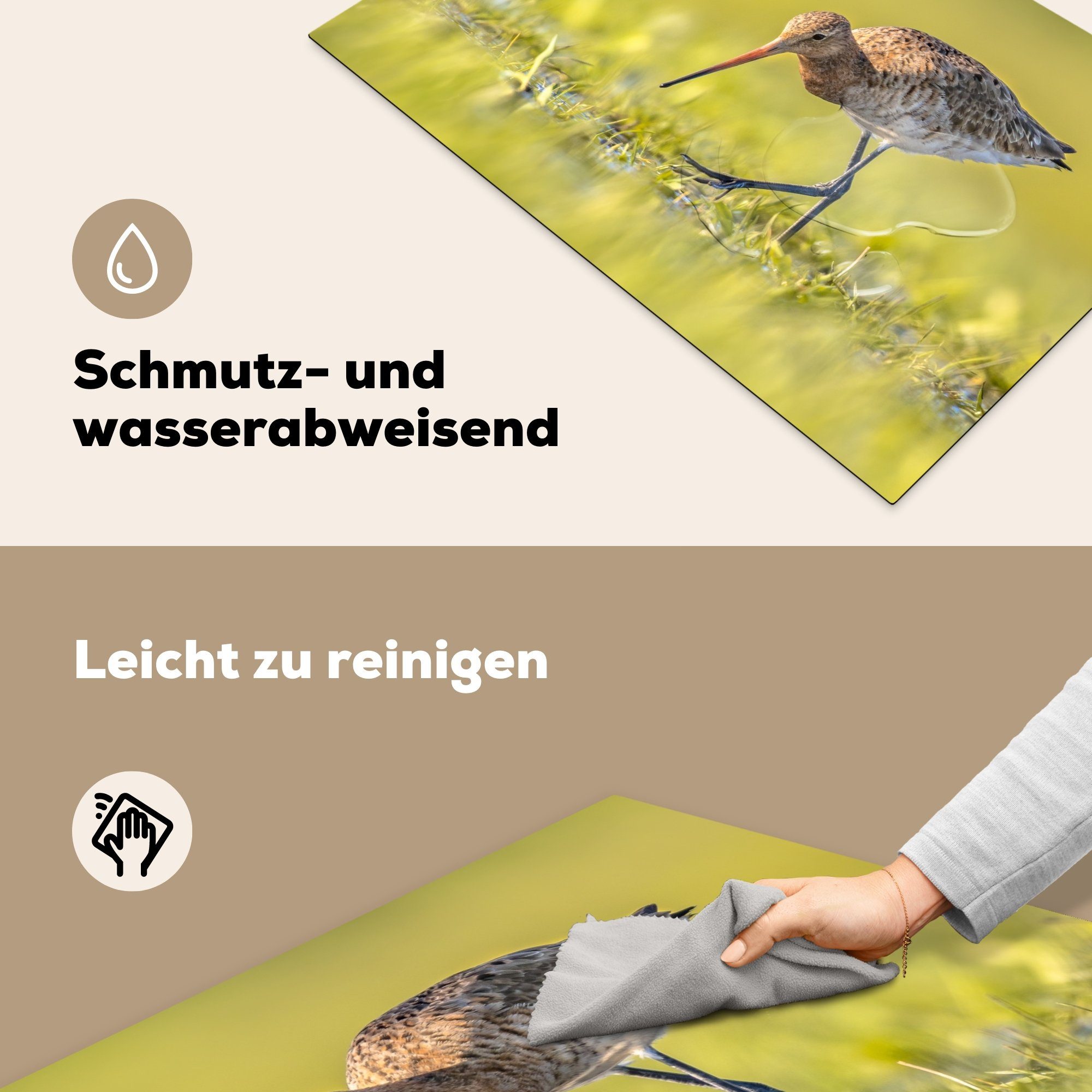 küche cm, Arbeitsplatte tlg), - Landschaft - - Gras Vögel MuchoWow Vinyl, Herdblende-/Abdeckplatte für (1 81x52 Uferschnepfe, Ceranfeldabdeckung,