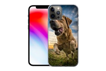 MuchoWow Handyhülle Bunter Himmel über diesem Labrador Retriever, Handyhülle Apple iPhone 12 Pro, Smartphone-Bumper, Print, Handy