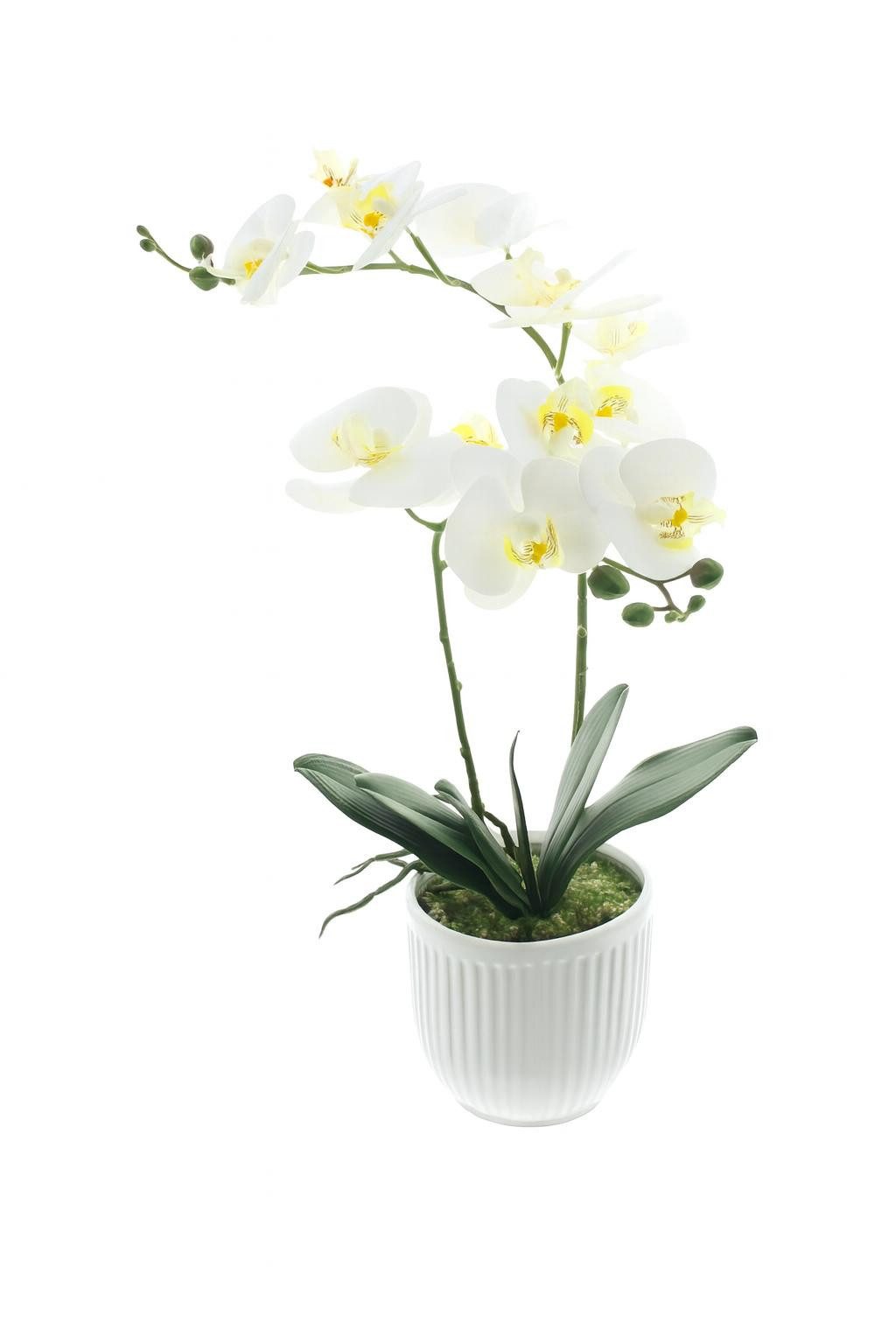 Kunstorchidee Kunstpflanze Orchidee "White Butterfly" im Topf, Kunstblume 52 cm hoch Orchidee, Dekoleidenschaft, Höhe 52 cm, Pflanze künstlich wie echt, große Blumen, Orchideen in weiß