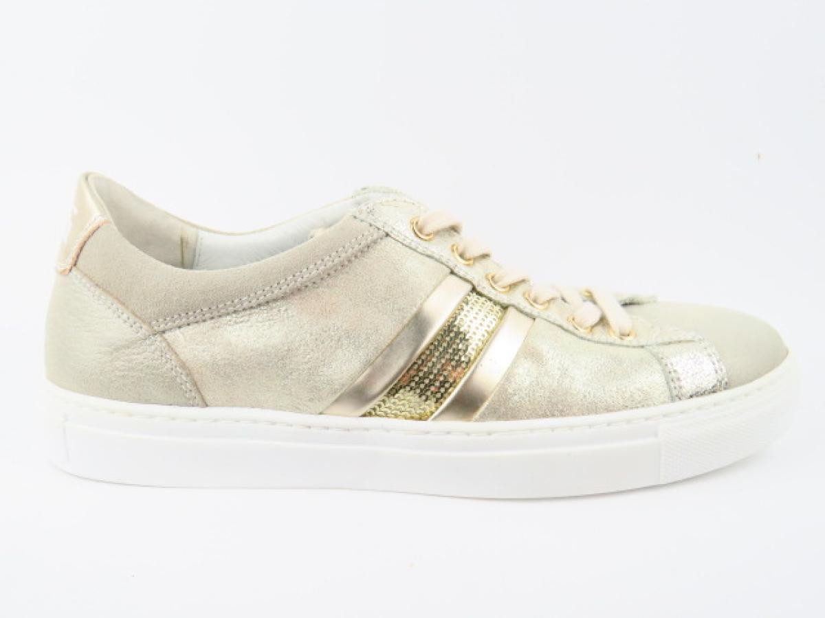 Stars savana/champagne Sneaker