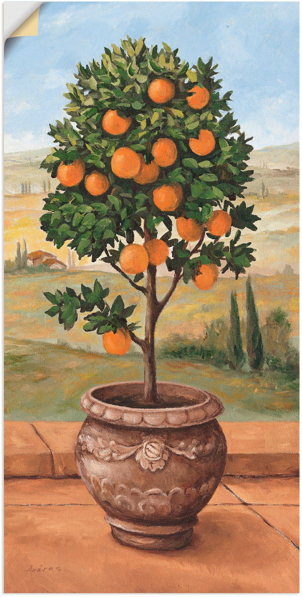 Wandaufkleber Poster St), versch. Artland Leinwandbild, Orangenbaum, (1 Größen Alubild, als oder in Wandbild Bäume