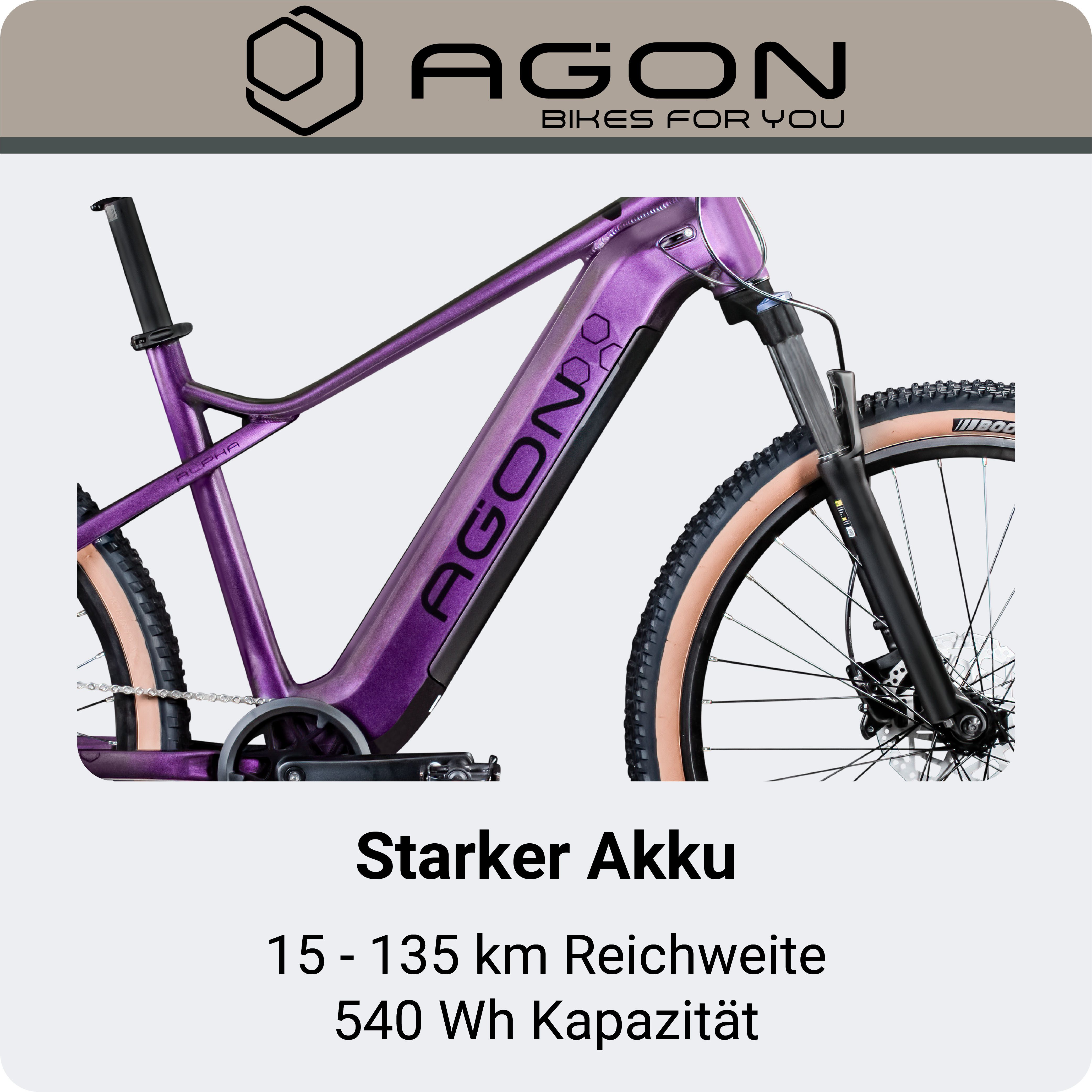AGON E-Bike Mountainbike Alpha, 10 Gang Deore SGS T6000 Schaltwerk, Kettenschaltung, Heckmotor, 540 Wh, Pedelec, Elektrofahrrad für Damen u. Herren, MTB
