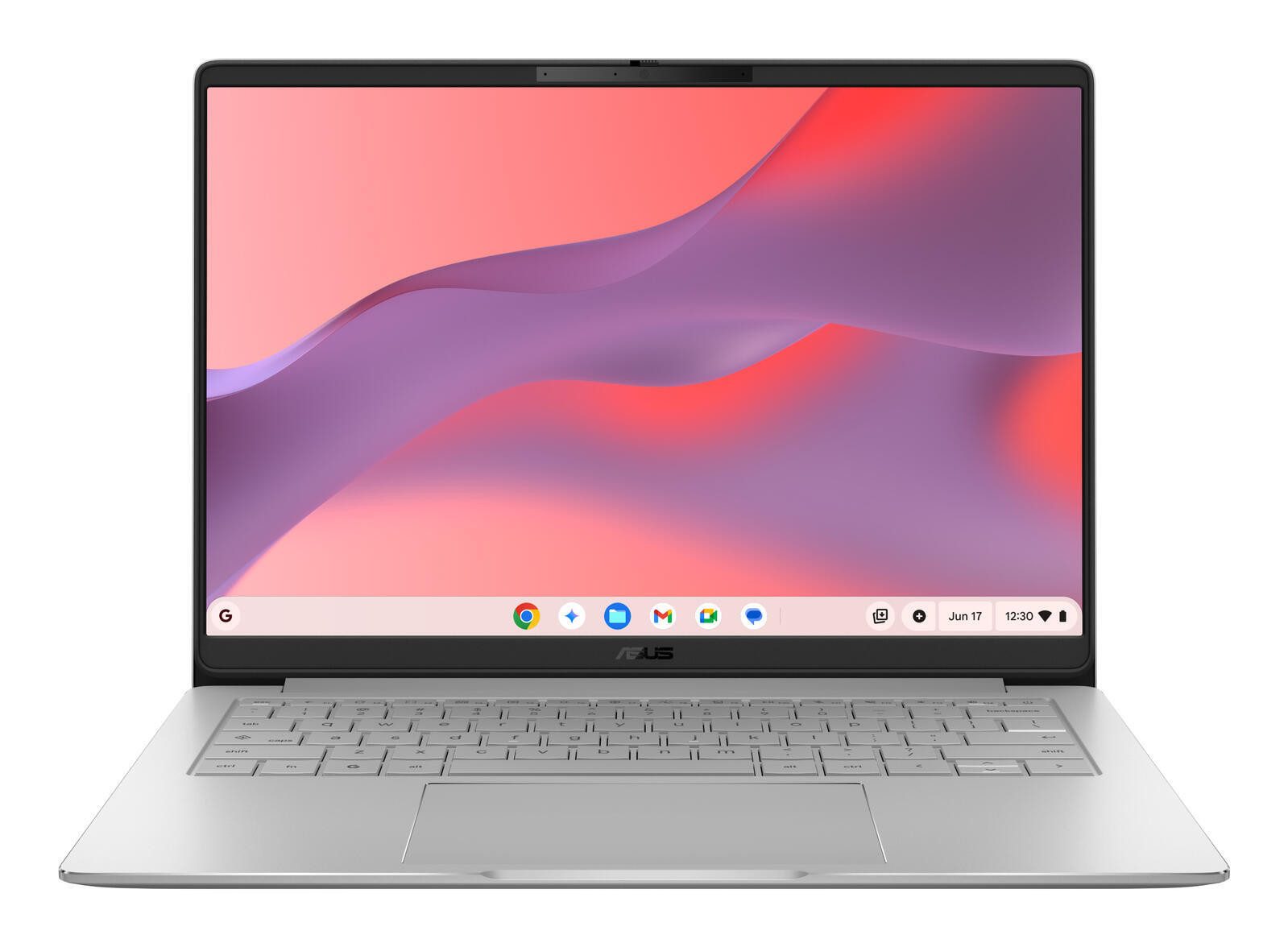 Asus CM1406CM4A-LY0050 Chromebook (8 GB)