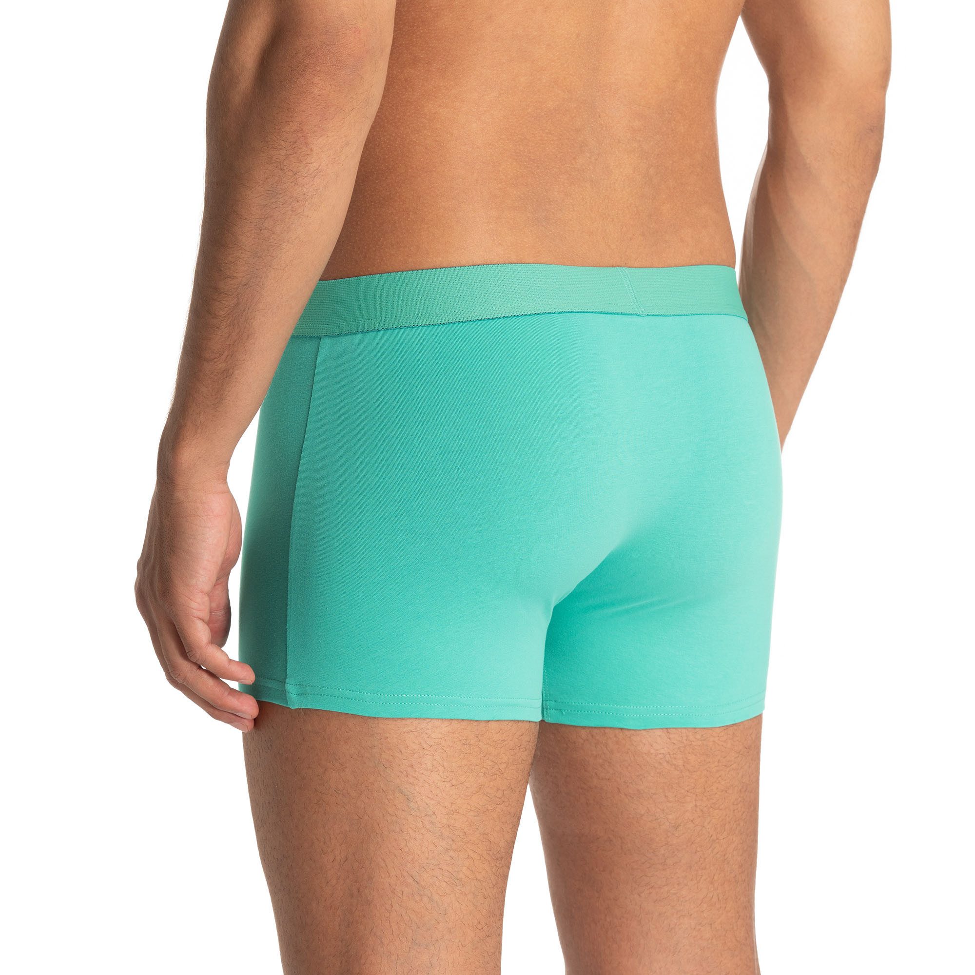 Bruno Banani Boxer Flowing (2er Pack) mit kontrastreichem Logobund – Bild 5 von 5