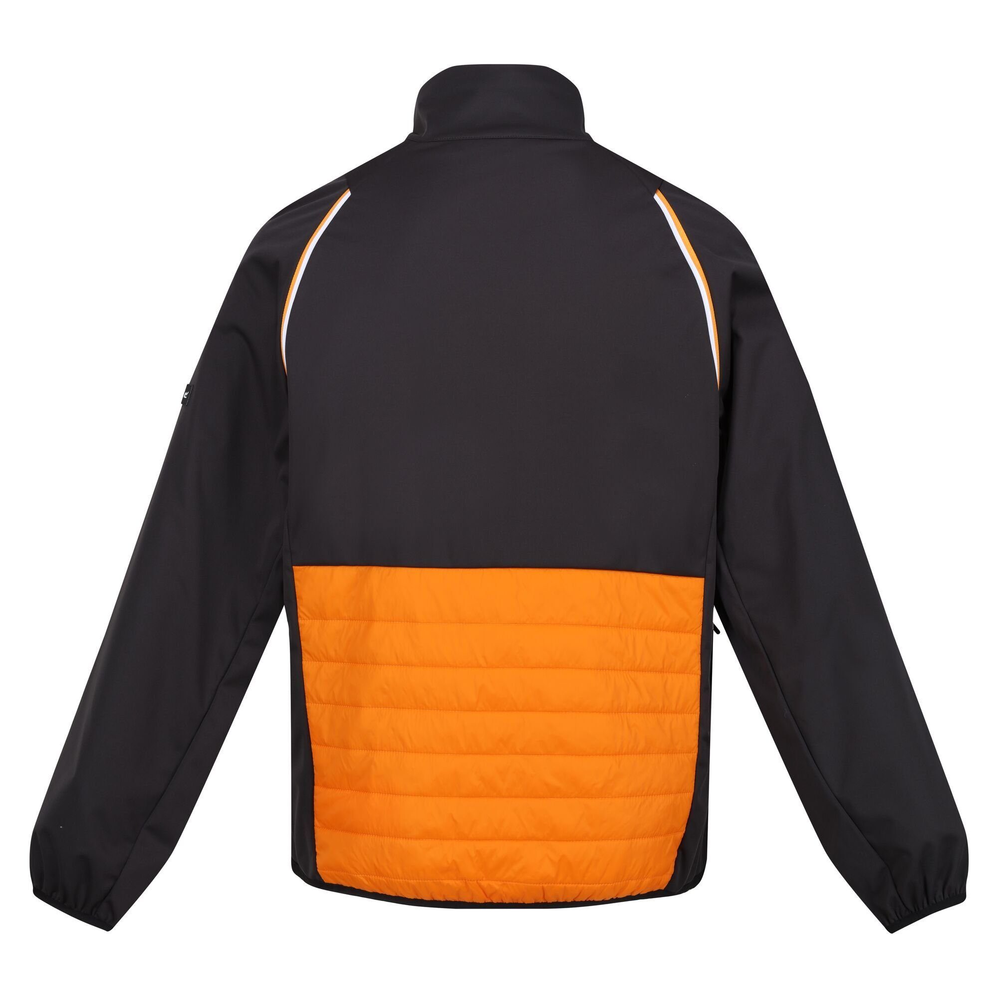 Funktionsjacke wind- und OrangPep/Ash Herren, wasserabweisend Steren Regatta für