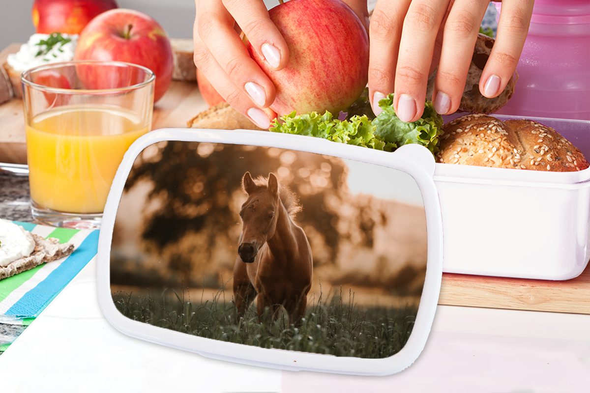 und Pferd Licht Landschaft, Jungs - Brotbox Kunststoff, MuchoWow (2-tlg), für Lunchbox - Kinder Erwachsene, Brotdose, für und weiß Mädchen