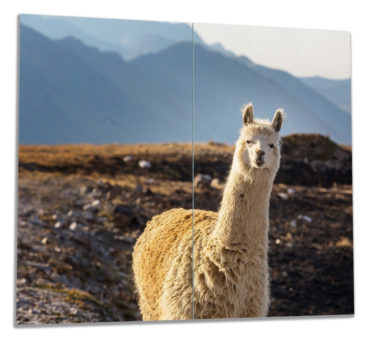 Wallario Herd-Abdeckplatte Alpaka vor Bergkulisse, ESG-Sicherheitsglas, (Glasplatte, 2 tlg., inkl. 5mm Noppen), verschiedene Größen